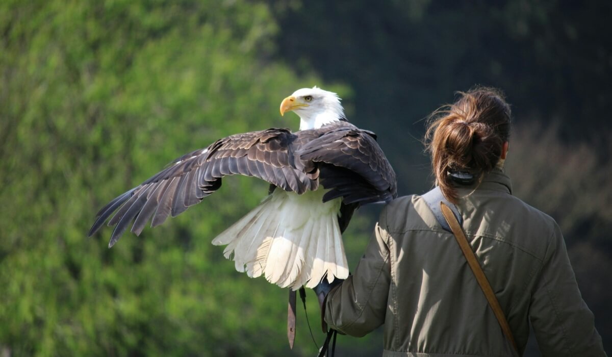 An Aussie Take on American Eagle: A Closer Look at Men AU Fashion Down Under 